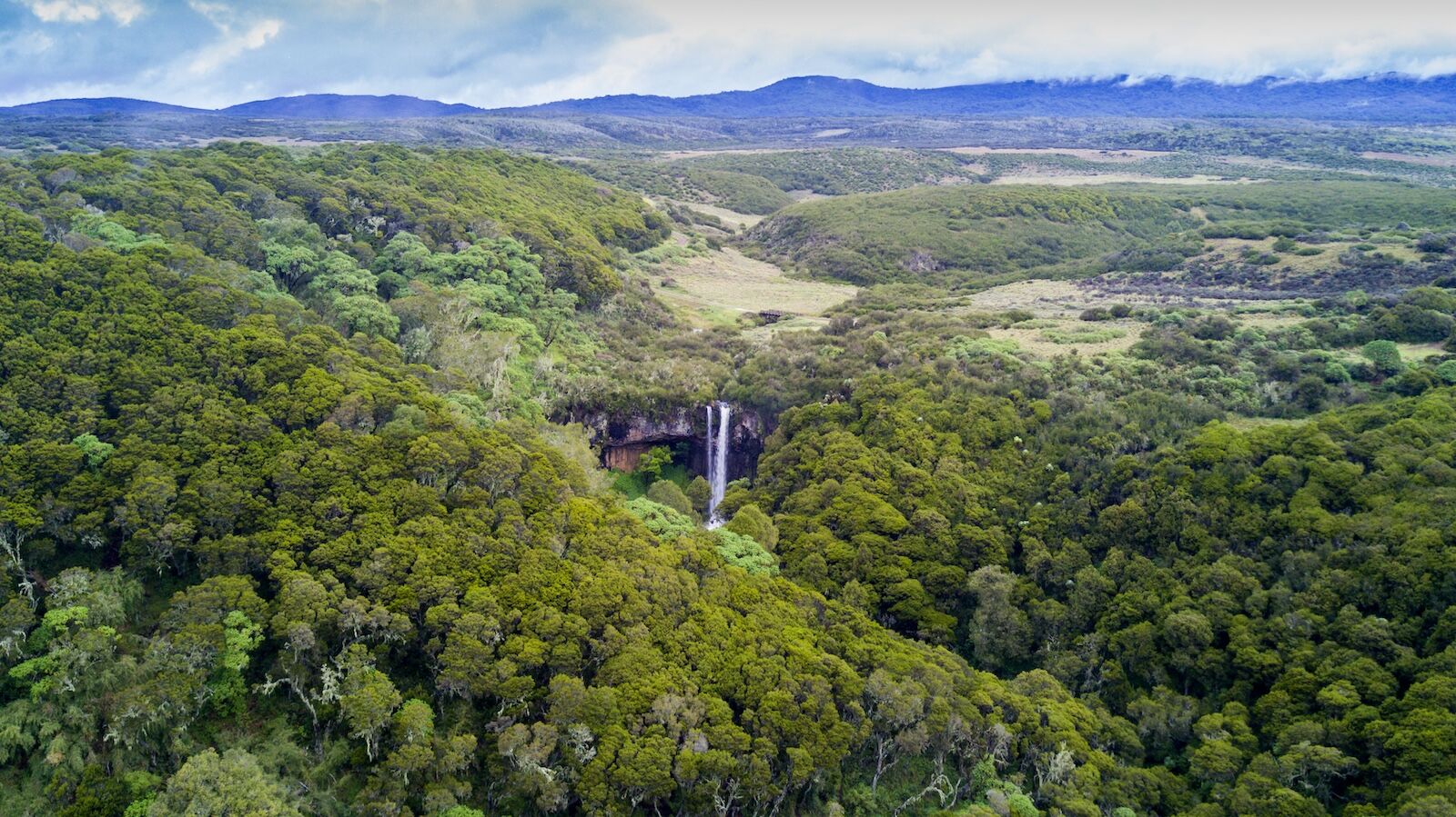 Aberdare national park - kenya in the fall