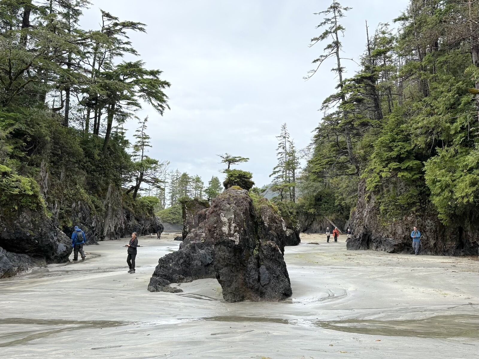 vancouver island wildlife - beach ike