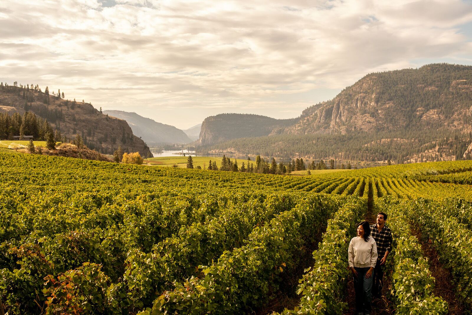 TravelWireDaily — This Valley in British Columbia Is Home to Canada’s First UNESCO Creative City of Gastronomy
