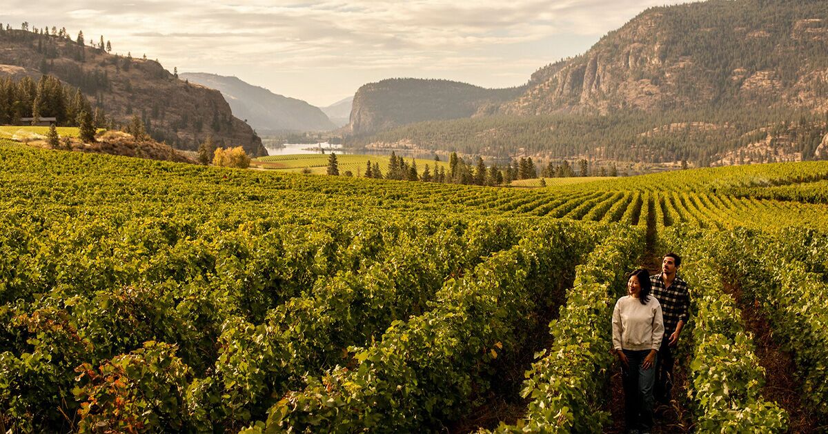 This Valley in British Columbia Is Home to Canada’s First UNESCO Creative City of Gastronomy