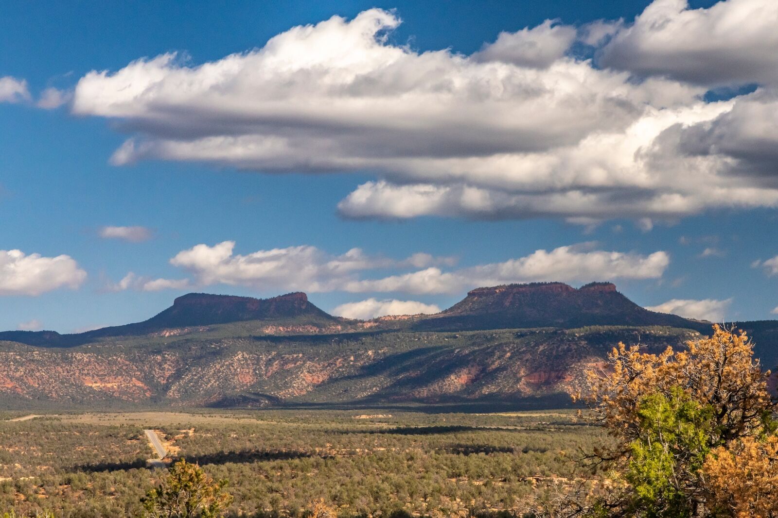 bears ears national monument