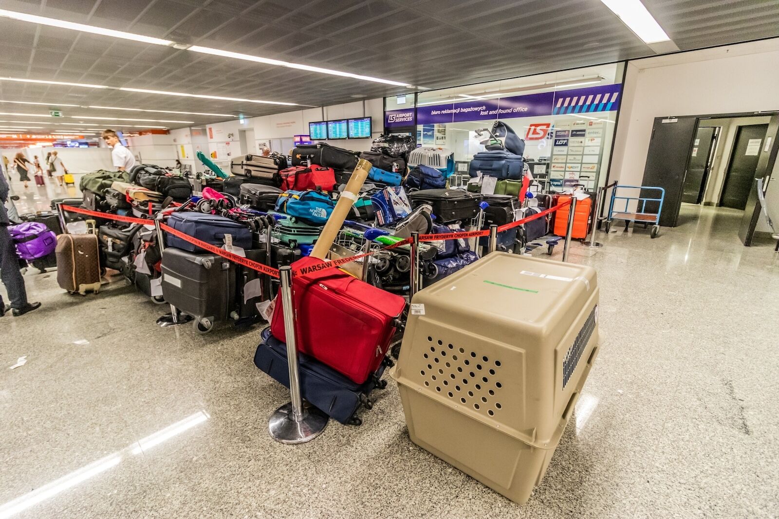 Airline Lost Bag Procedures and Traveler Actions