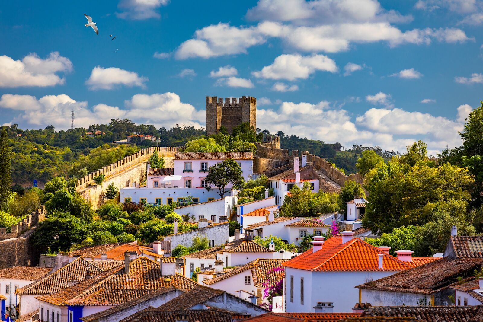 european sightseeing stops - obidos