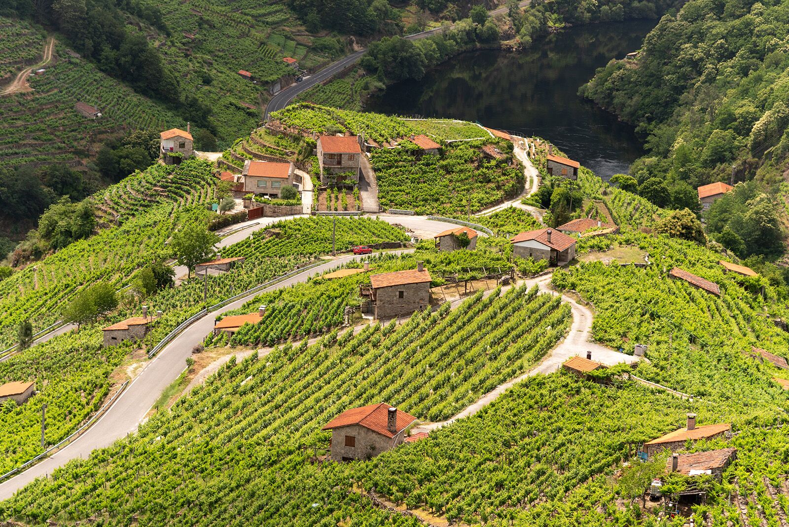 wine regions in spain