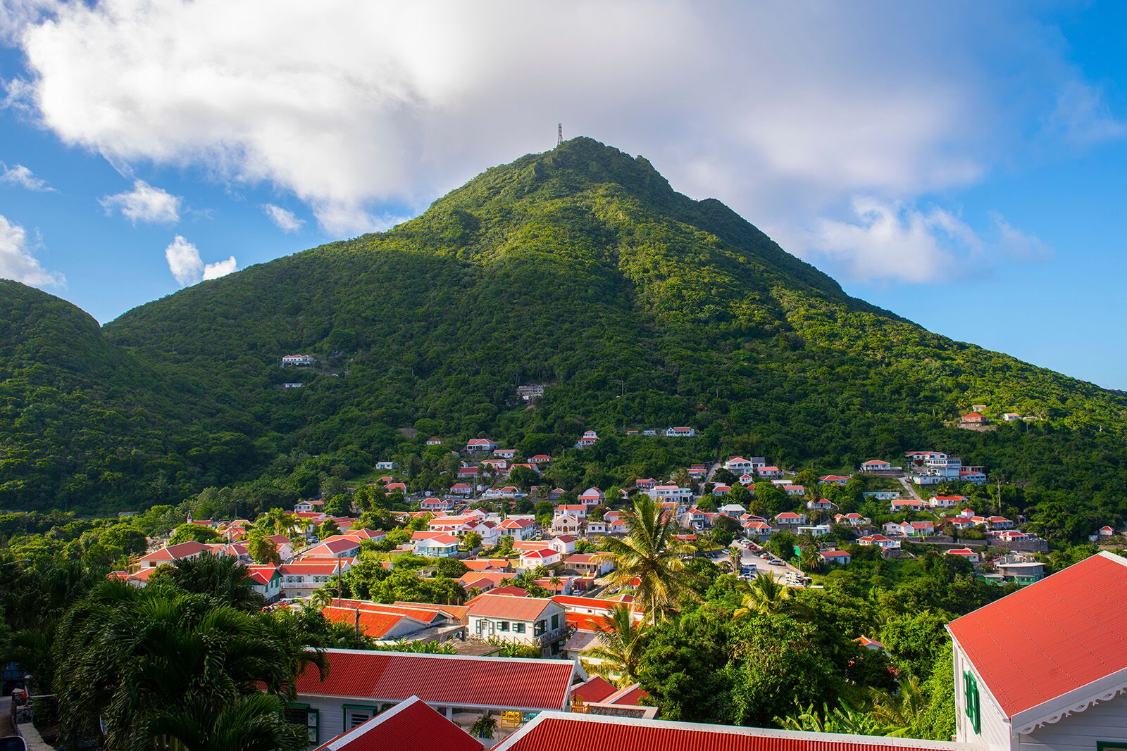visit saba