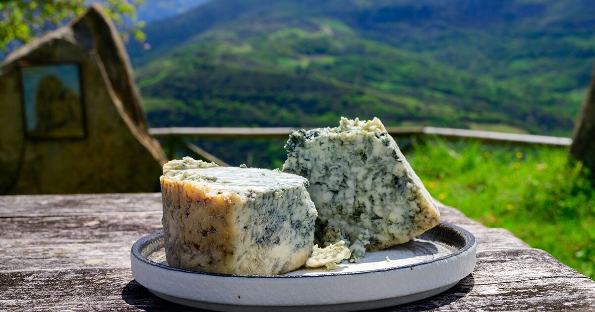 Rooted in Place: How Spain’s Landscapes Shape Its Plates