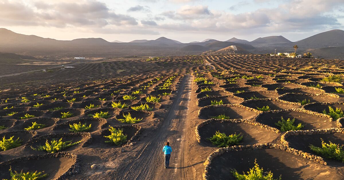 Spain, Uncorked: The Landscapes and Legacies Behind 7 Regional Wines