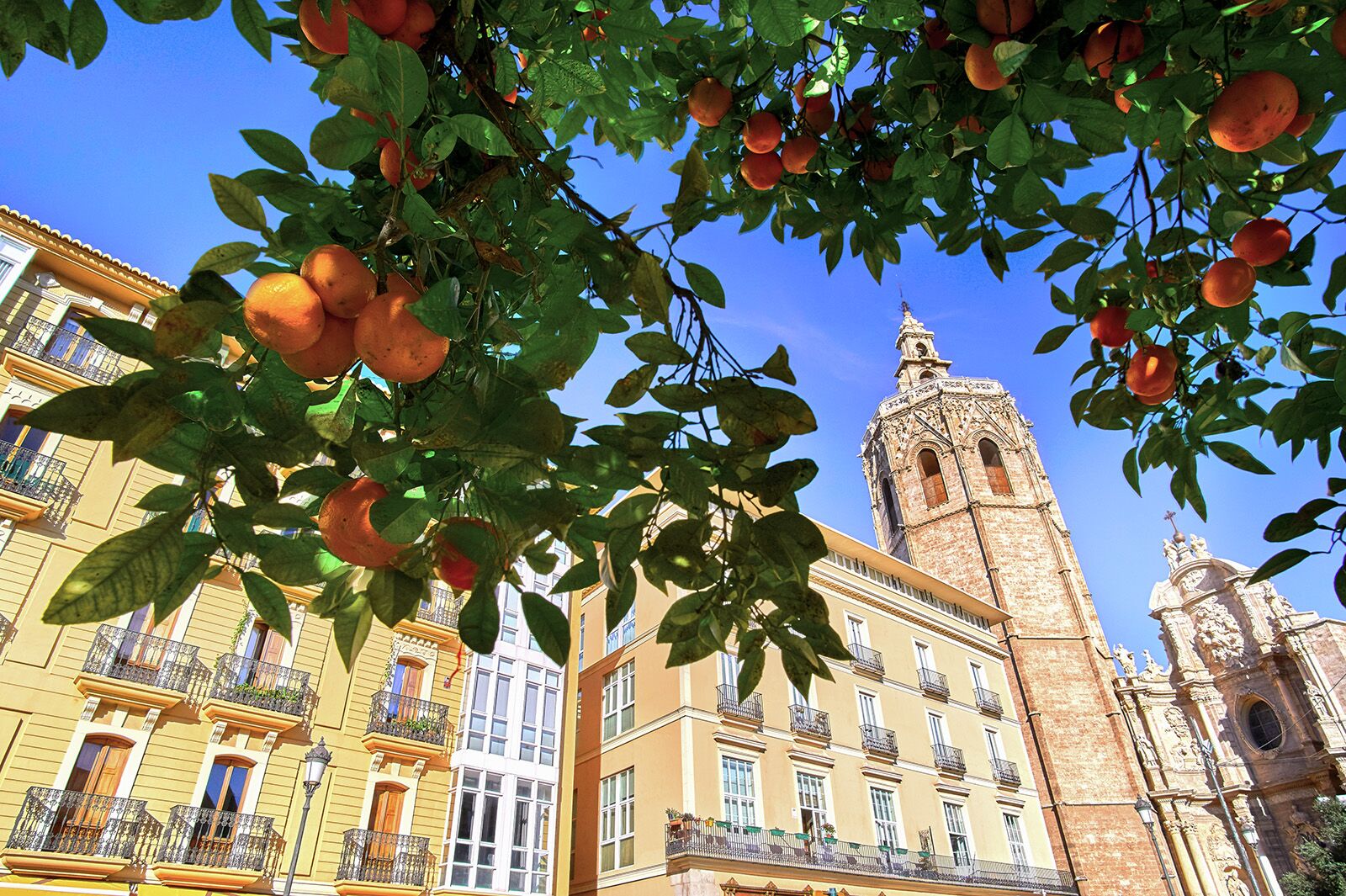 Regional Spanish cuisine