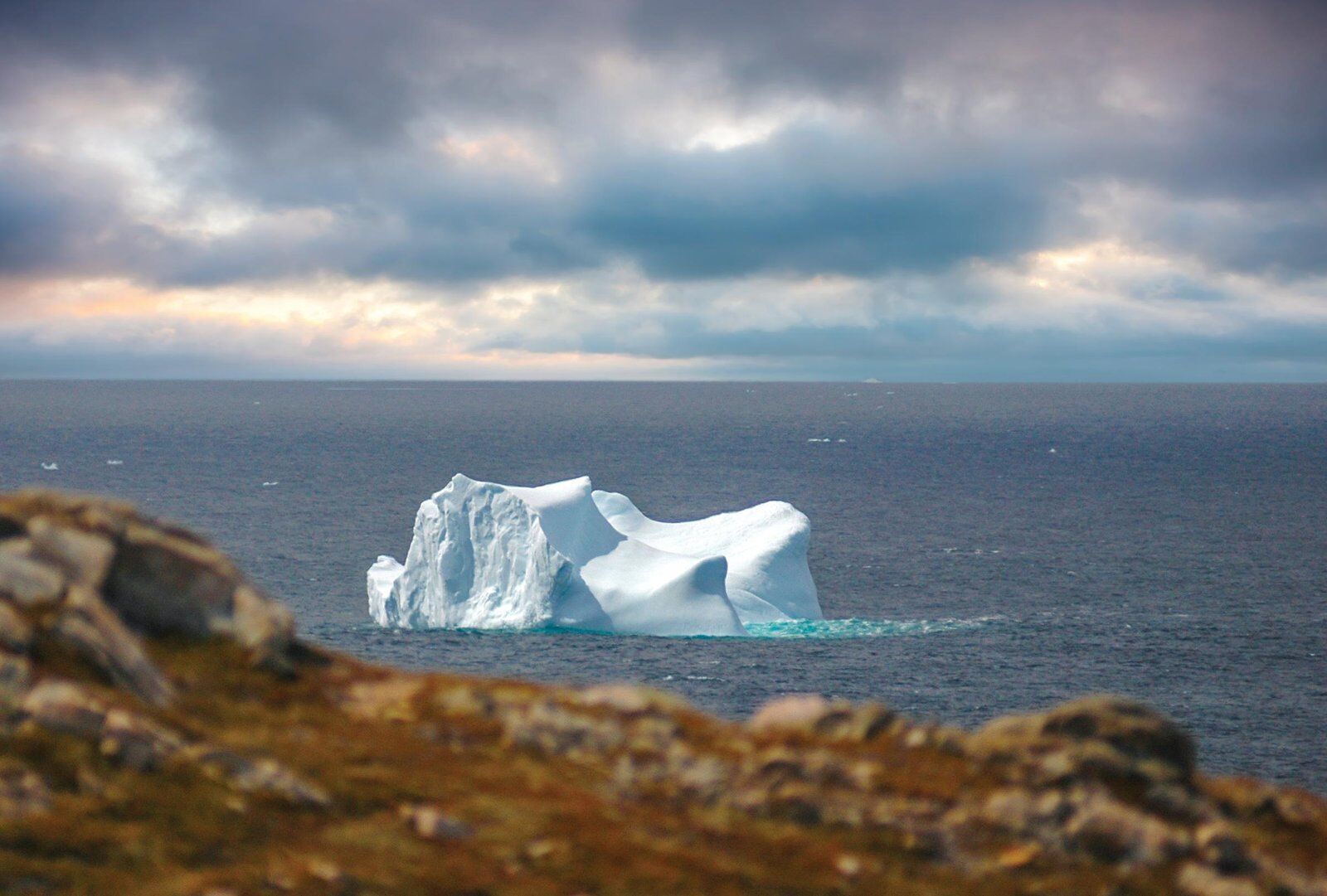 below newfoundland tourism - iceberg