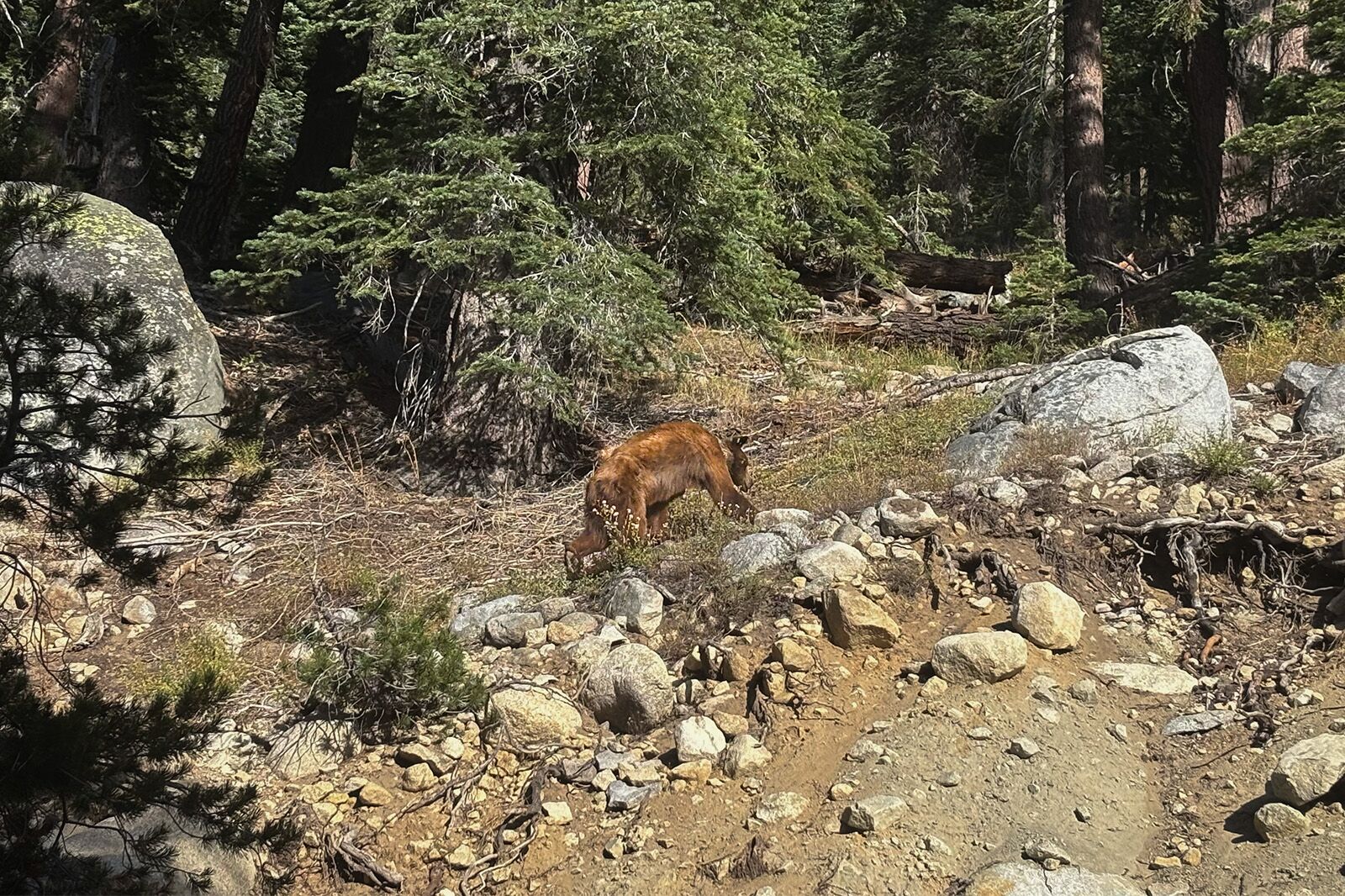 waybound yosemite