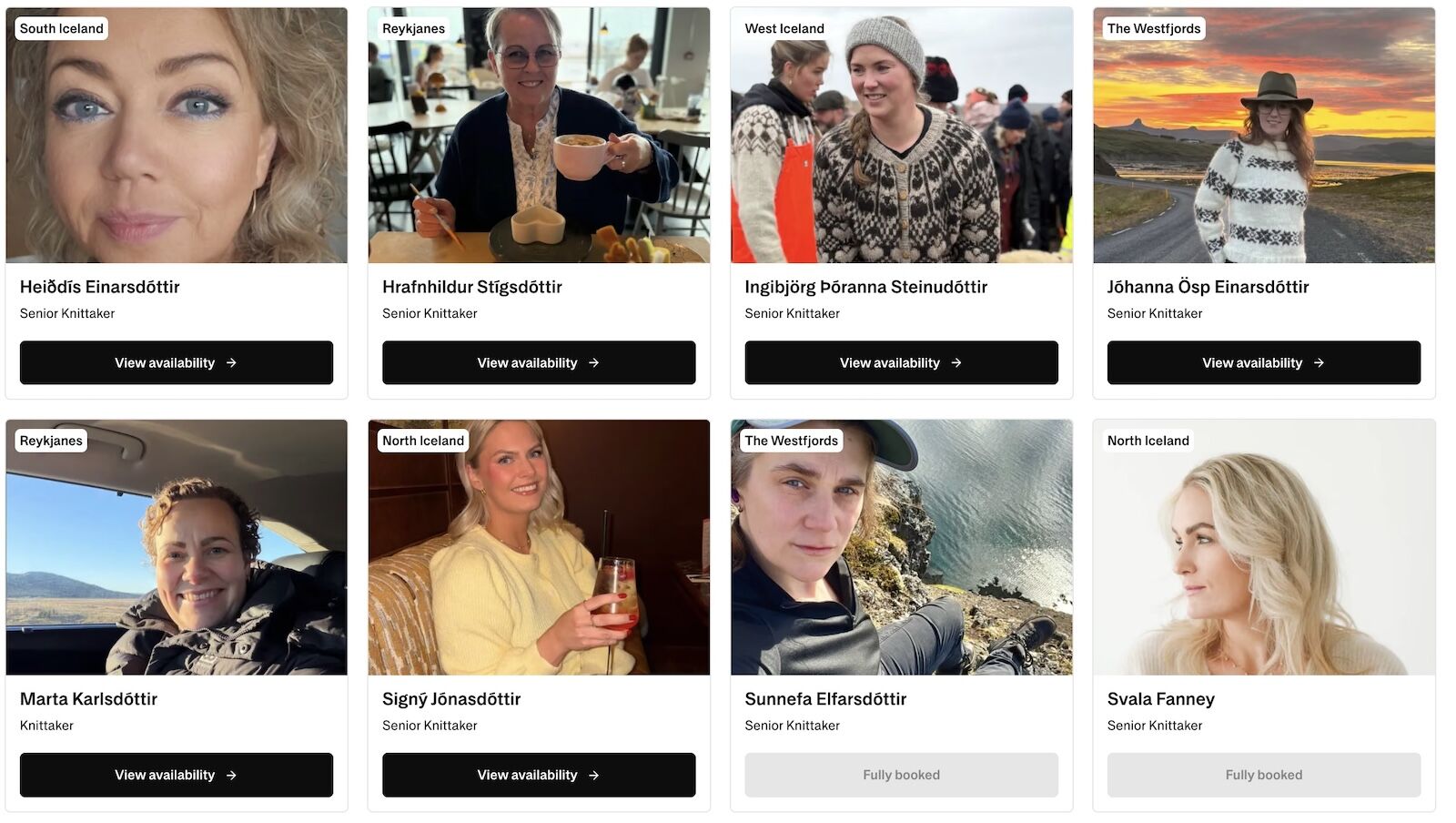 iceland ai notetaker knitting - available knitters