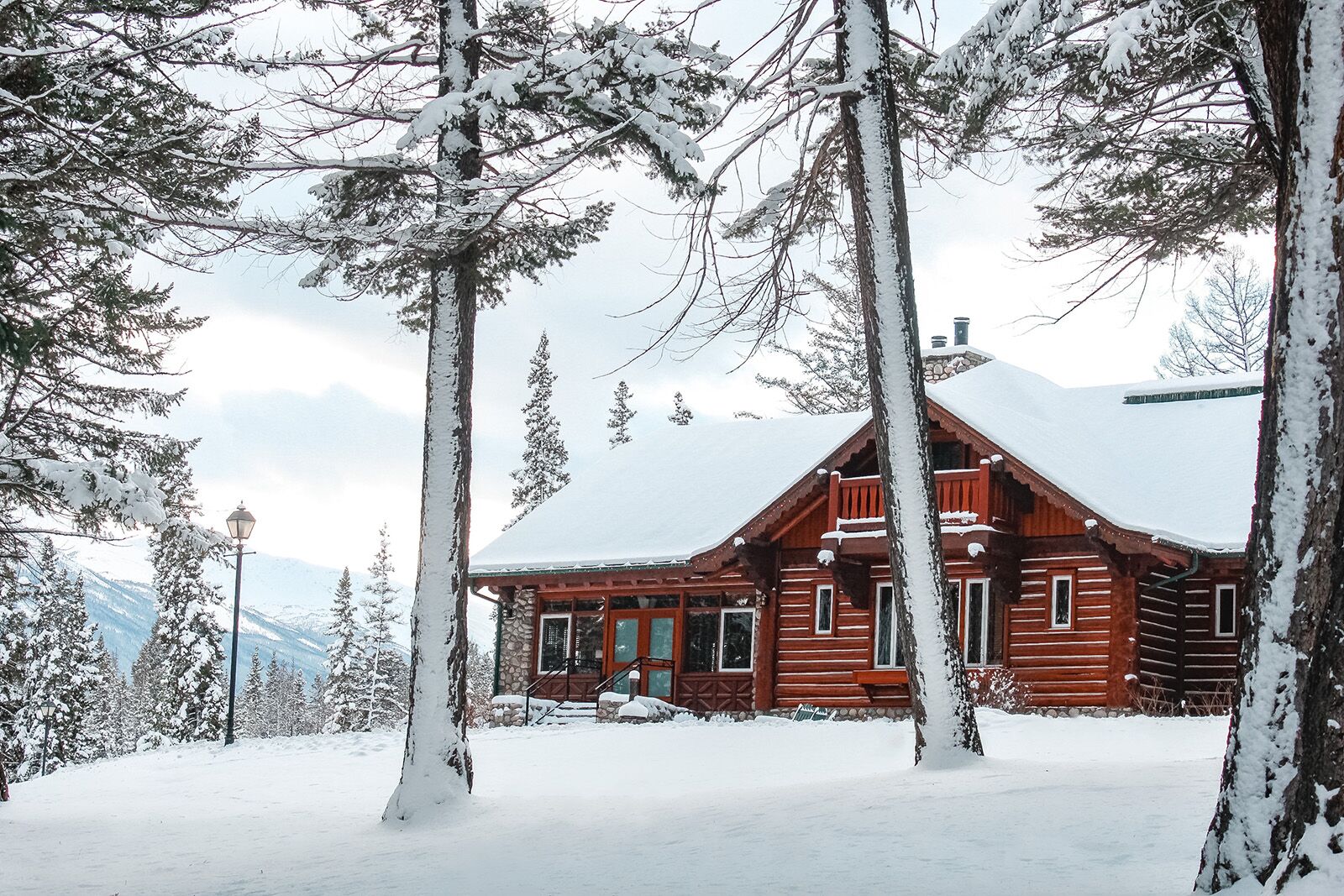 Jasper in winter