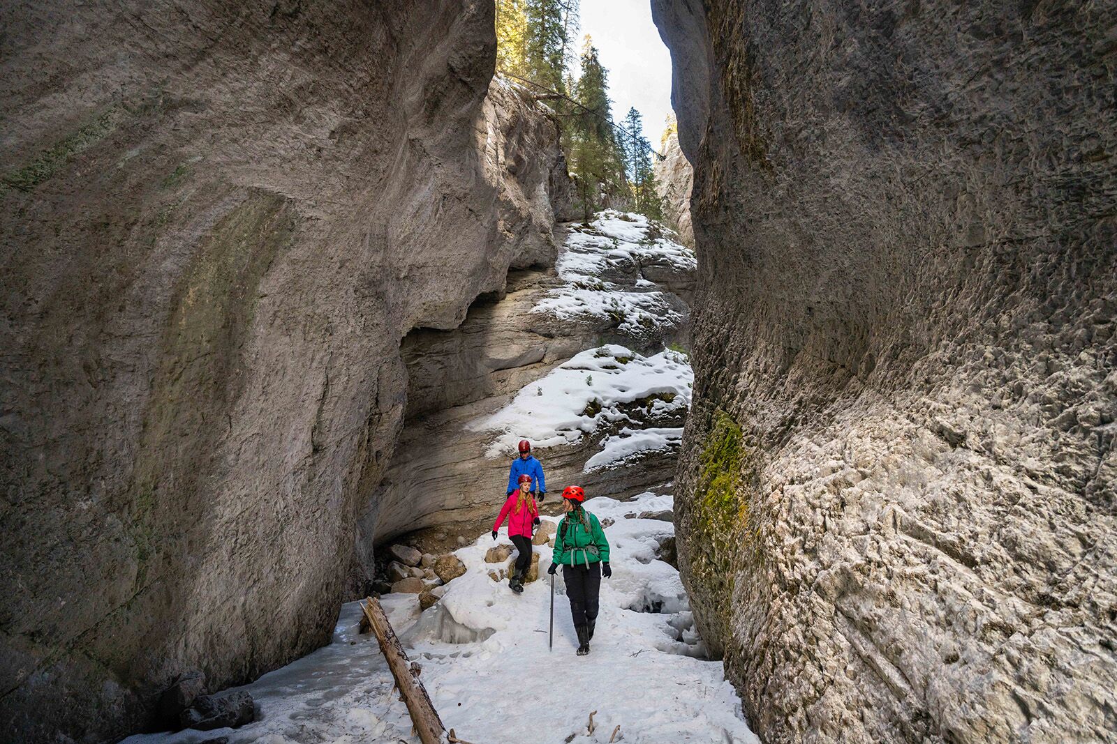 Jasper in winter