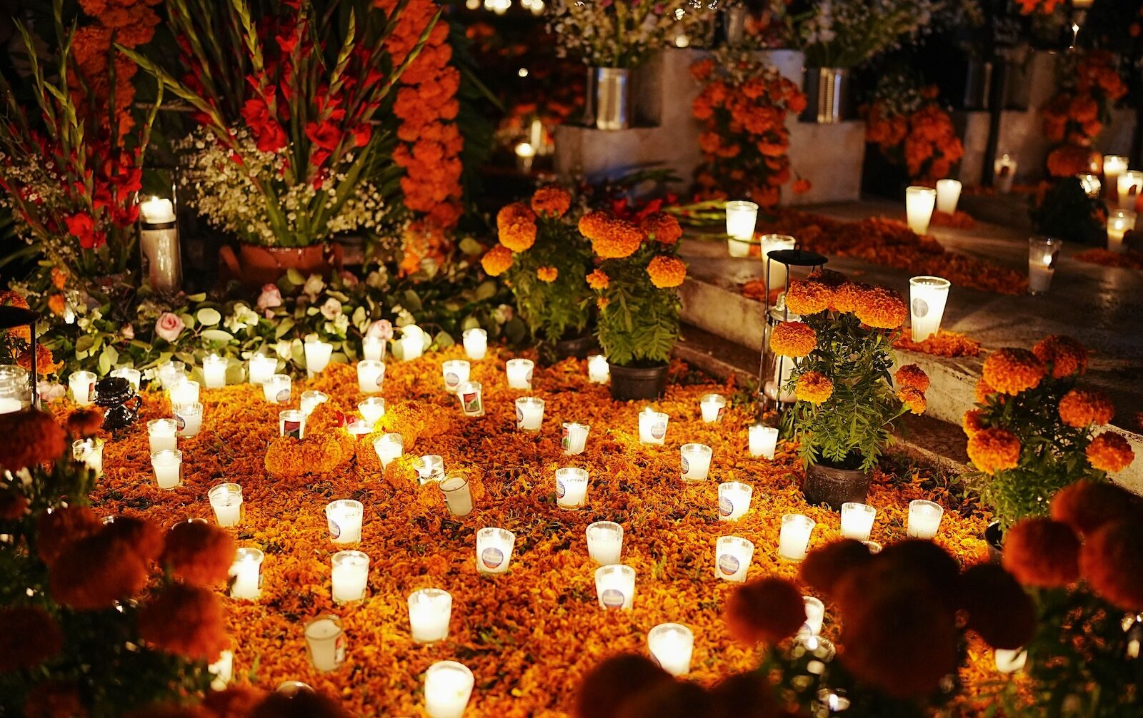 dia de los muertos display