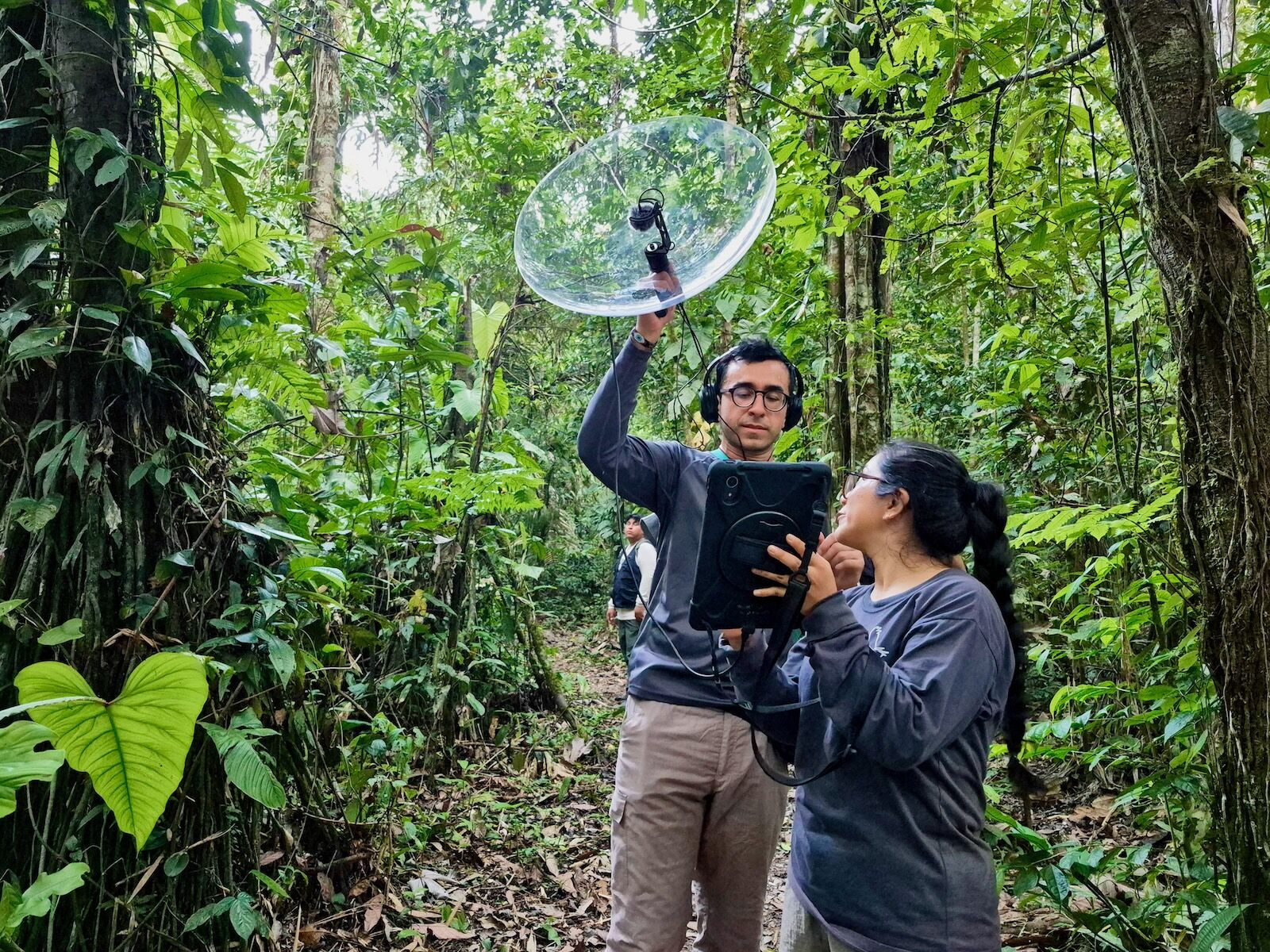 Collecting bioacoustic monkey recordings
