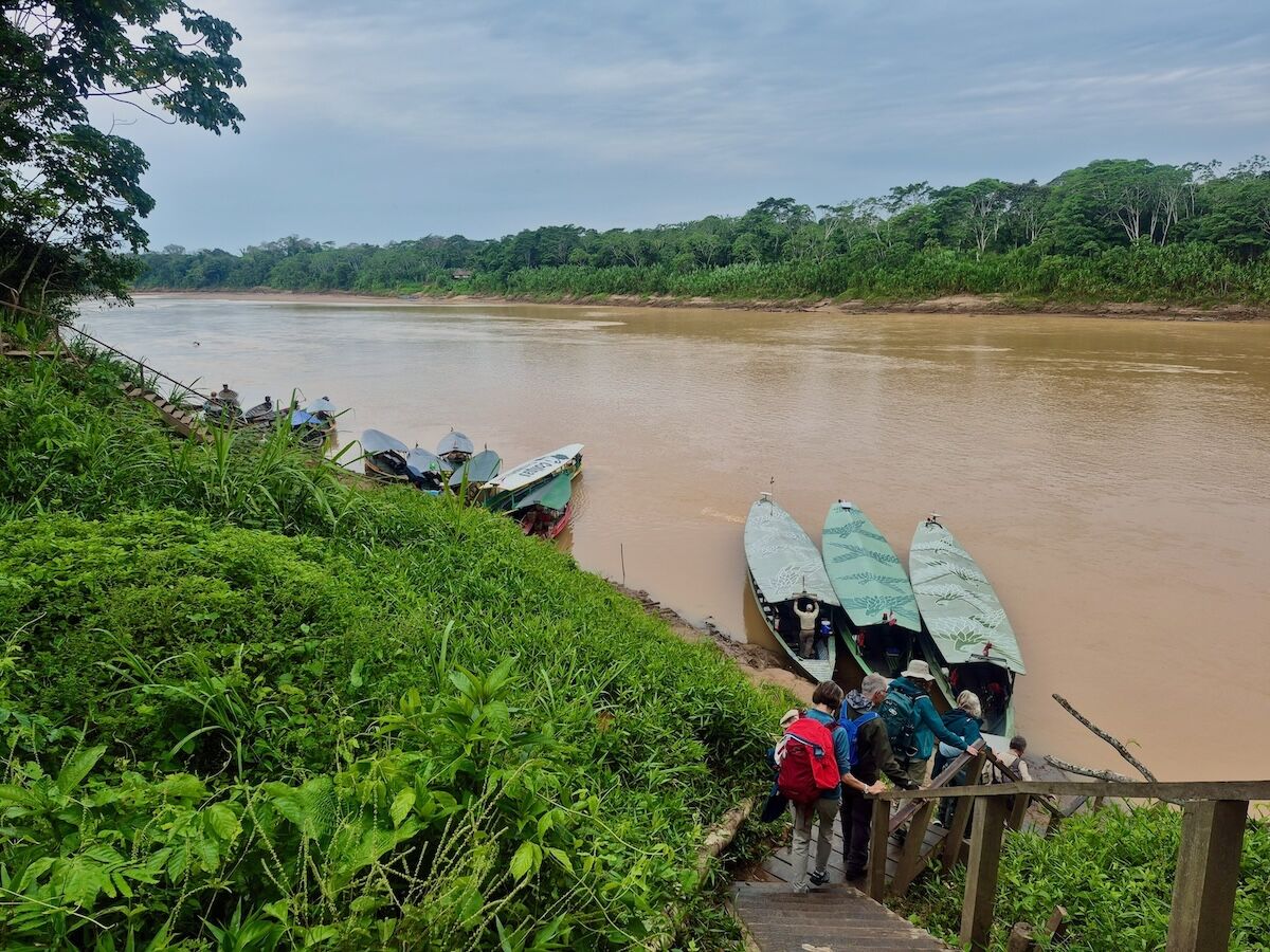 In Peru’s Tambopata Reserve, Travelers Become Wildlife Researchers