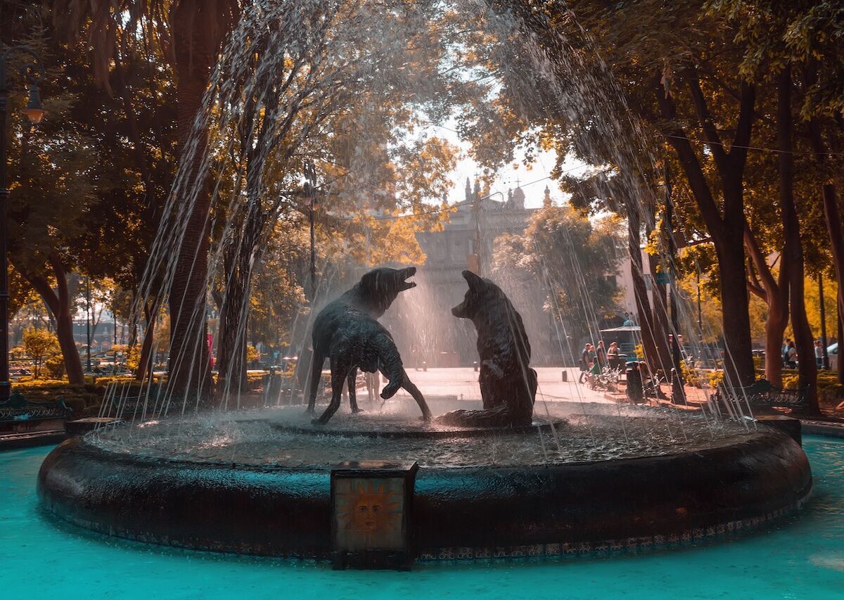 9 historias de Coyoacán que seguramente no conocías - Matador Español