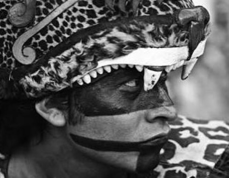 Qué debes sobre los OCELOPILI, los guerreros jaguar del ejército mexica