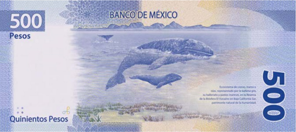 Así Serán Los Nuevos Billetes De México Matador Español 4073