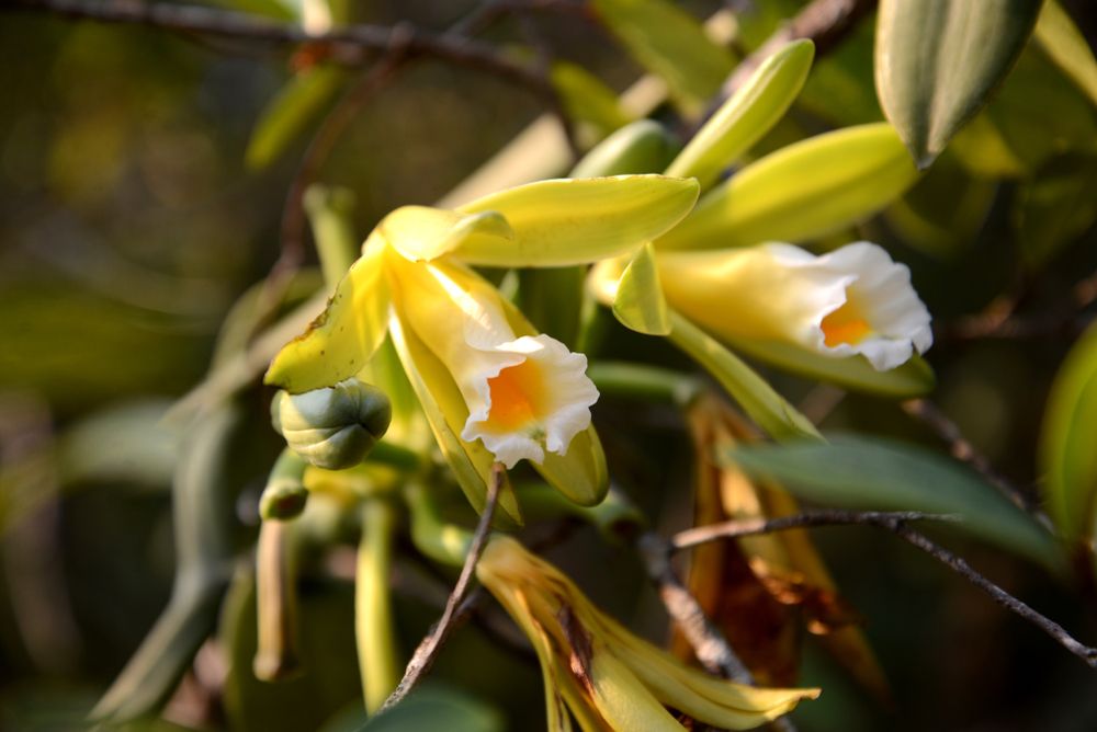 Esta es la leyenda de la