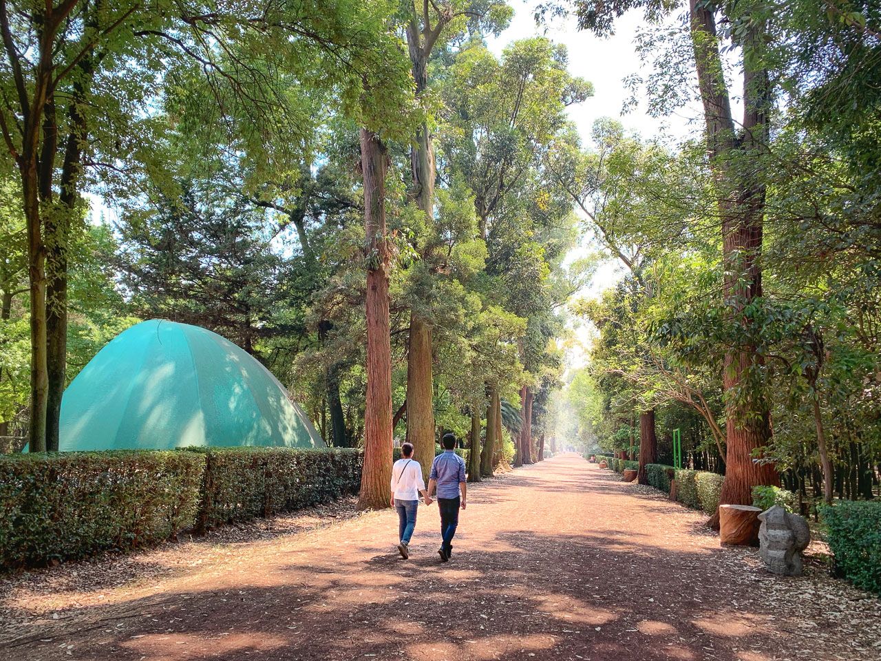  Interior de un parque en el cual el camino es de color rojo con pequeñas piedras,  al extremo de la fotografía se encuentran árboles dando ilusión de perspectiva,  además de una pareja caminando 

                        