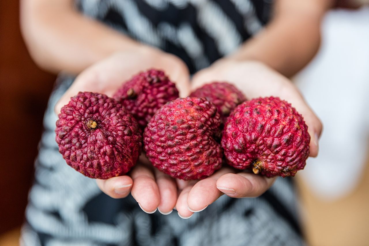 12 frutas tropicales que crecen en Málaga - Matador Español