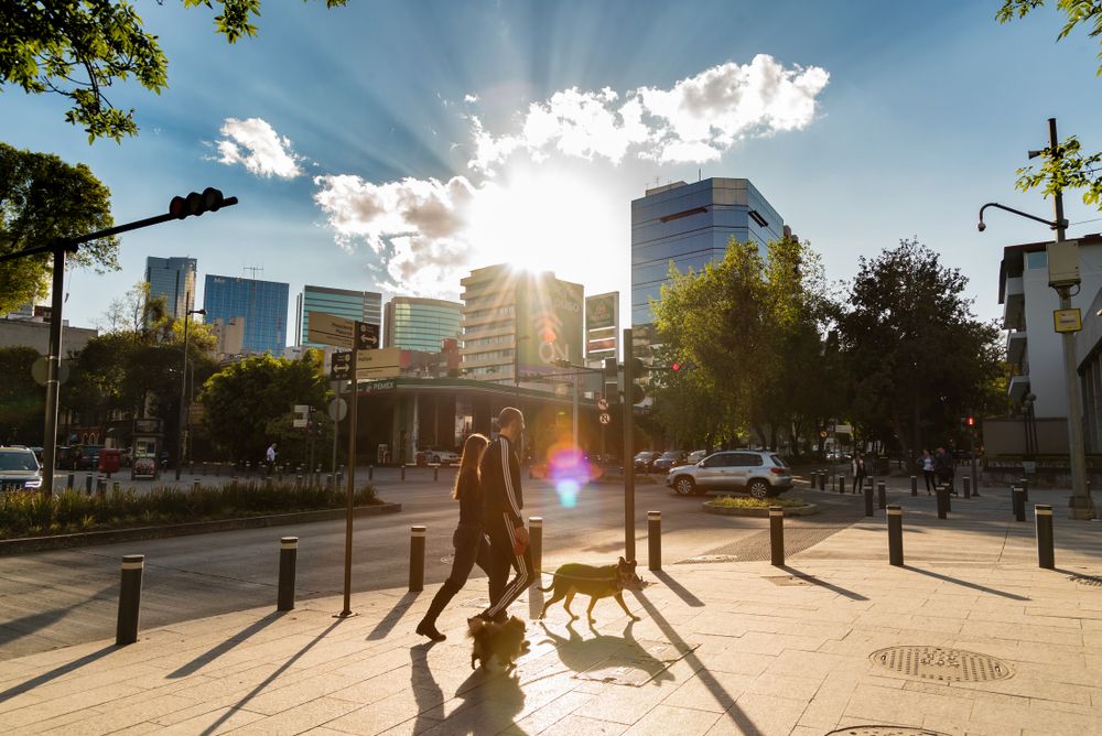 Pasaje Polanco, Masaryk